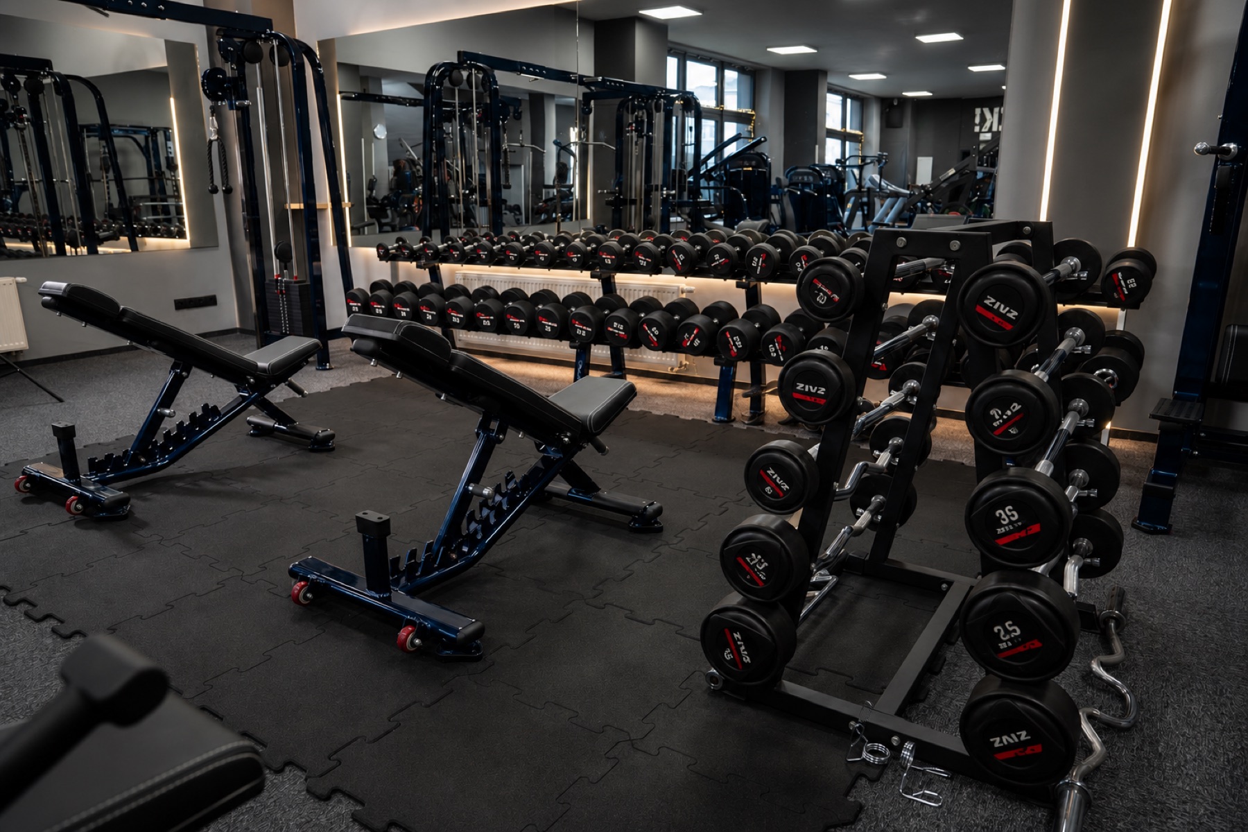 Zóna s jednoručními činkami v Leader Fitness